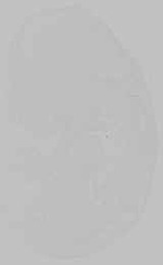 EMAGE:15387
