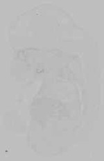 EMAGE:15398