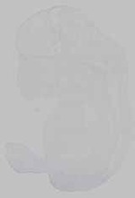 EMAGE:15415