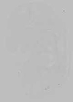 EMAGE:15446