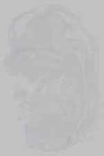 EMAGE:15448
