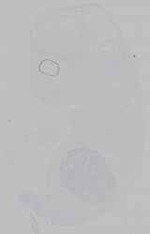 EMAGE:15453