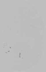 EMAGE:15455