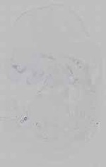 EMAGE:15457