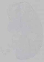 EMAGE:15468