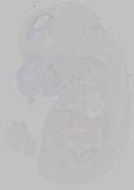 EMAGE:15469