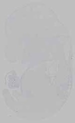 EMAGE:15475