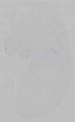 EMAGE:15476