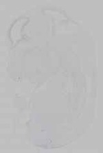EMAGE:15491