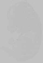 EMAGE:15493