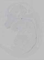 EMAGE:15524