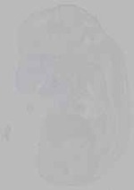 EMAGE:15553