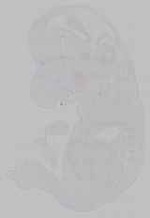 EMAGE:15557