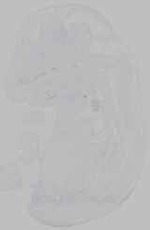 EMAGE:15558