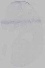 EMAGE:15563