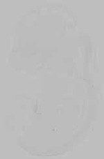 EMAGE:15567