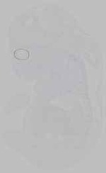 EMAGE:15609