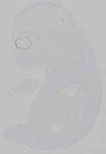 EMAGE:15624
