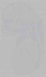 EMAGE:15627