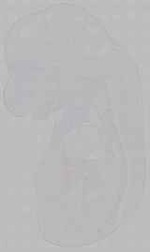 EMAGE:15627