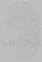 EMAGE:15627