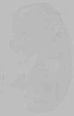EMAGE:15627