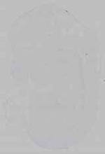 EMAGE:15634
