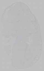 EMAGE:15663
