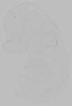 EMAGE:15725
