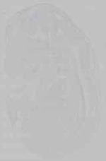 EMAGE:15741