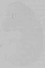 EMAGE:15741