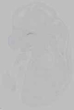 EMAGE:15748