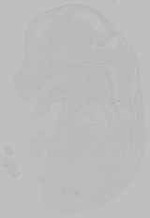 EMAGE:15748