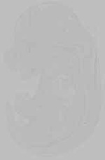EMAGE:15748