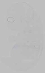 EMAGE:15752