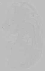 EMAGE:15752