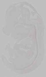 EMAGE:15768