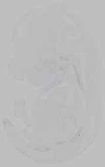 EMAGE:15769