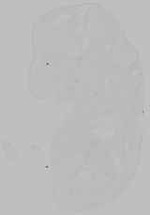 EMAGE:15770
