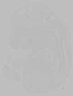 EMAGE:15782