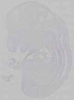 EMAGE:15788