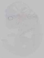 EMAGE:15793