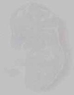 EMAGE:15793