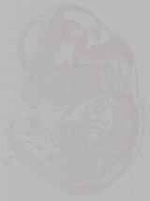 EMAGE:15793