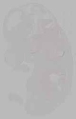 EMAGE:15793
