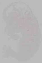 EMAGE:15793