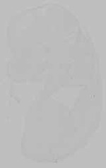 EMAGE:15795