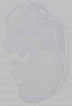 EMAGE:15798