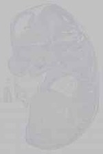 EMAGE:15798