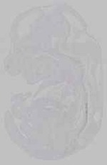 EMAGE:15870